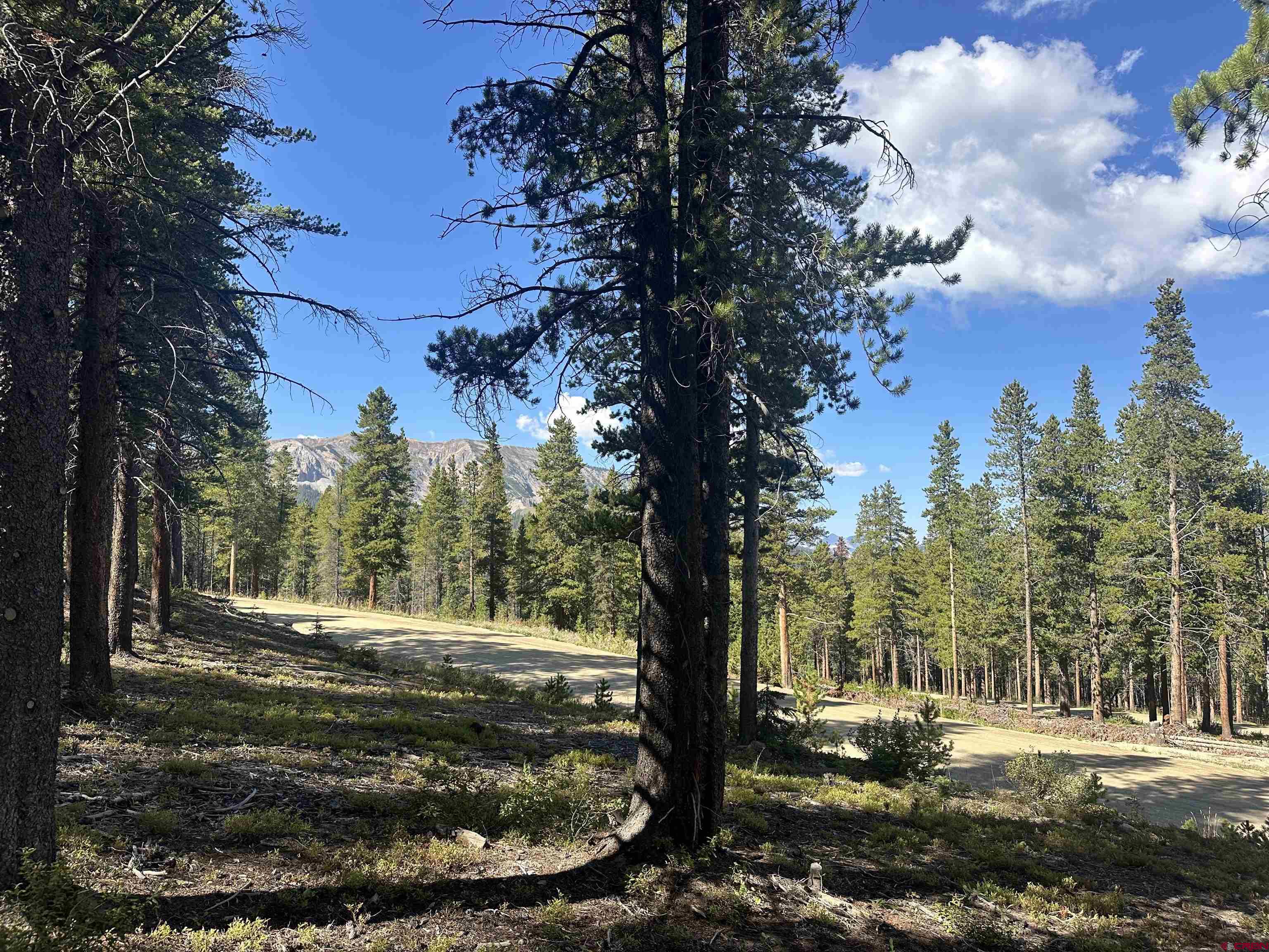 3305 Wildcat Trail Crested Butte, CO 81224 - Photo 4 of 22 a view of a yard with trees in the background
