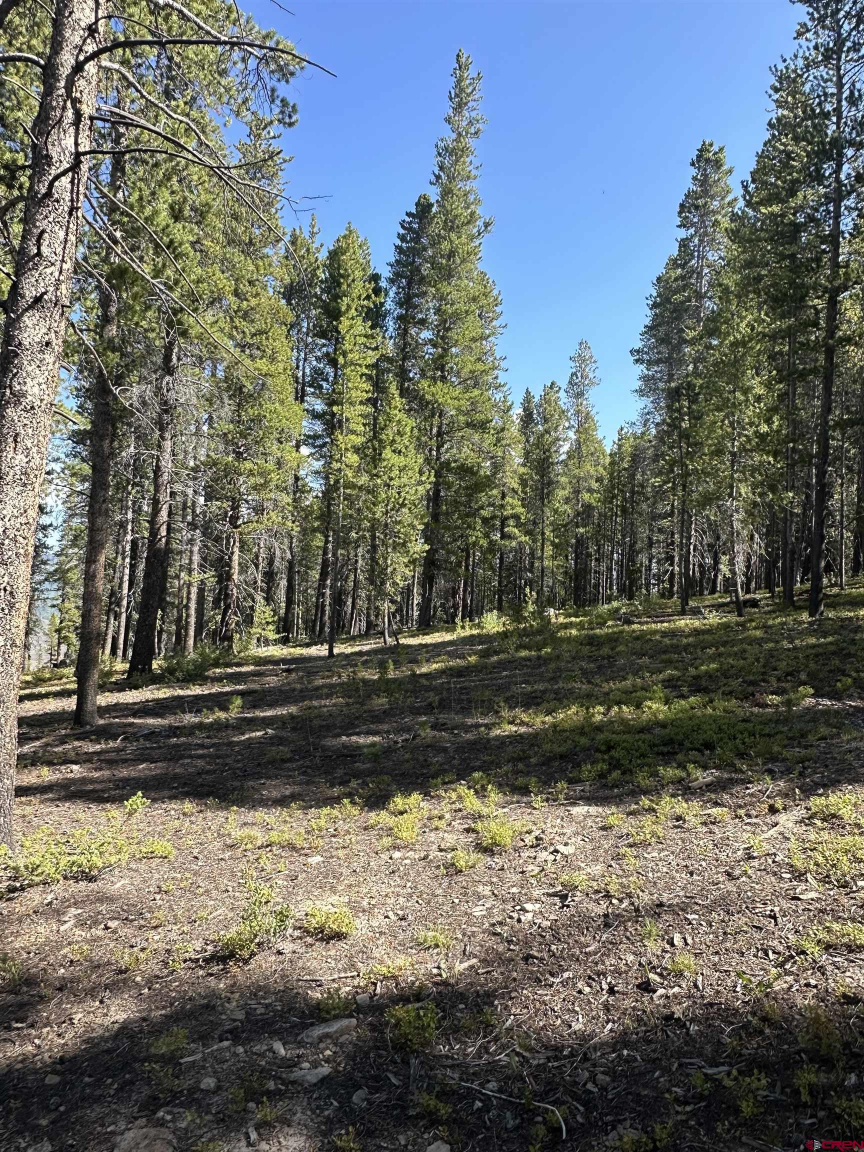 3305 Wildcat Trail Crested Butte, CO 81224 - Photo 5 of 22 a view of a yard
