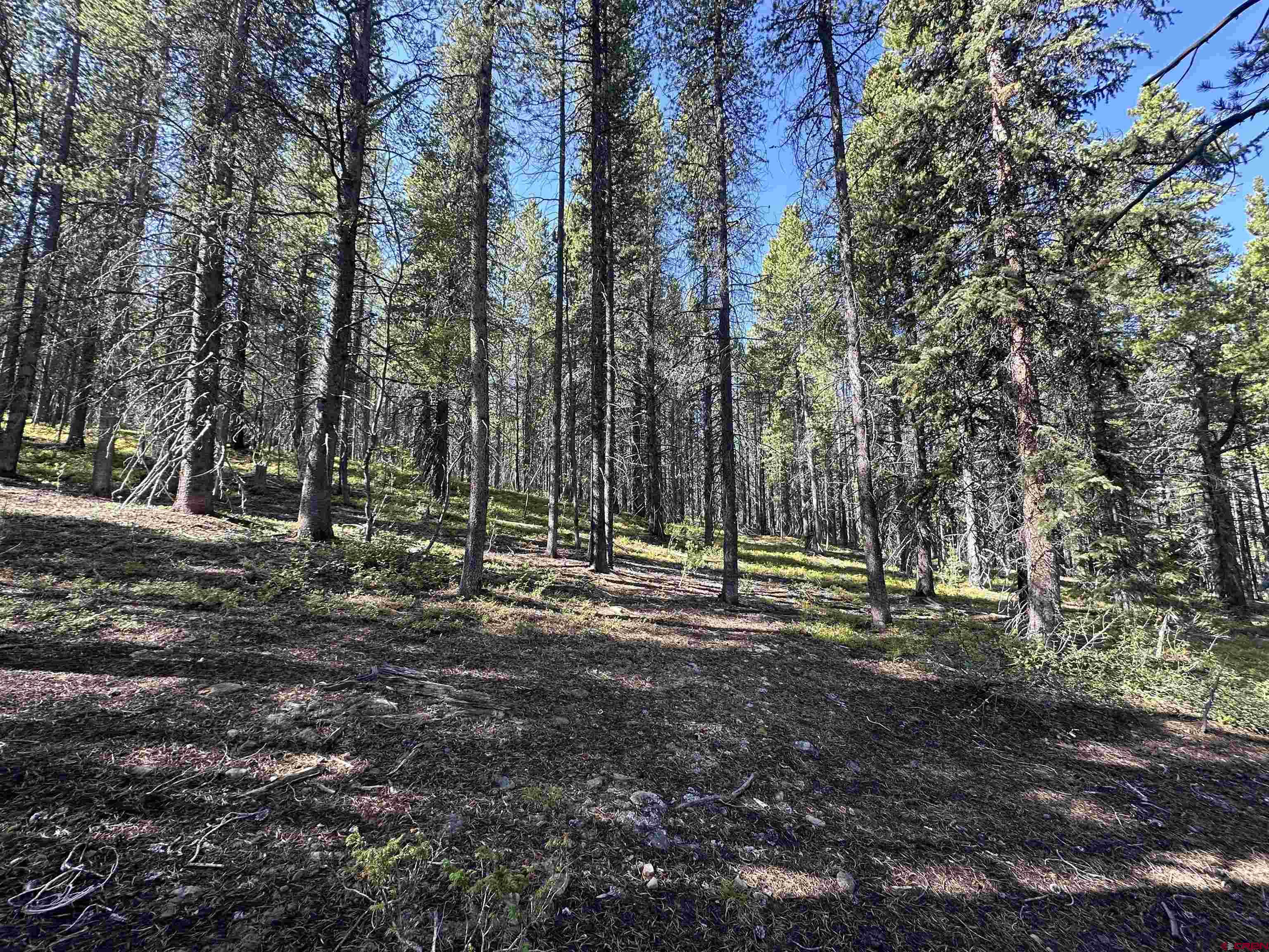 3305 Wildcat Trail Crested Butte, CO 81224 - Photo 6 of 22 a view of a park
