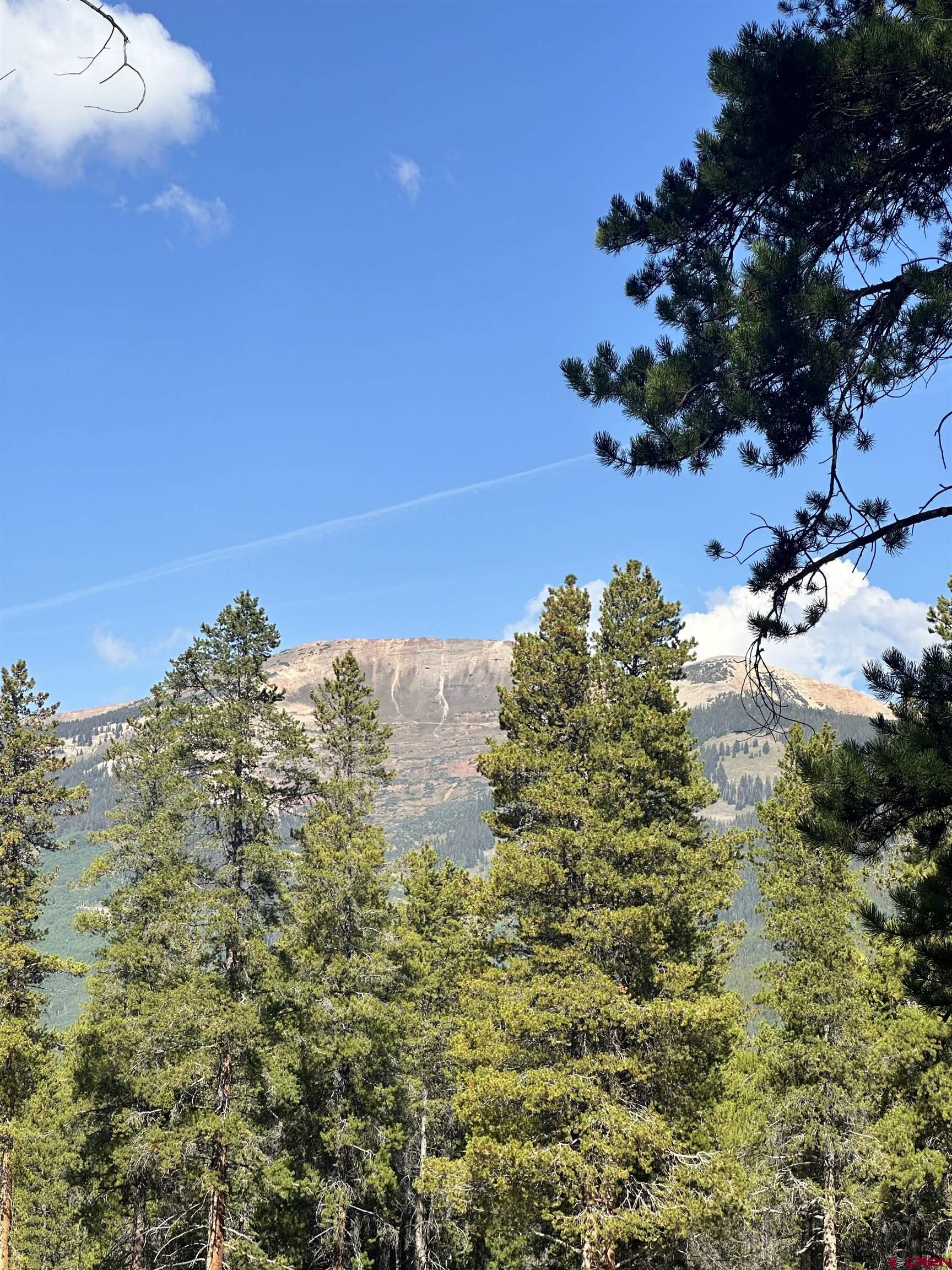 3305 Wildcat Trail Crested Butte, CO 81224 - Photo 7 of 22 a view of a yard