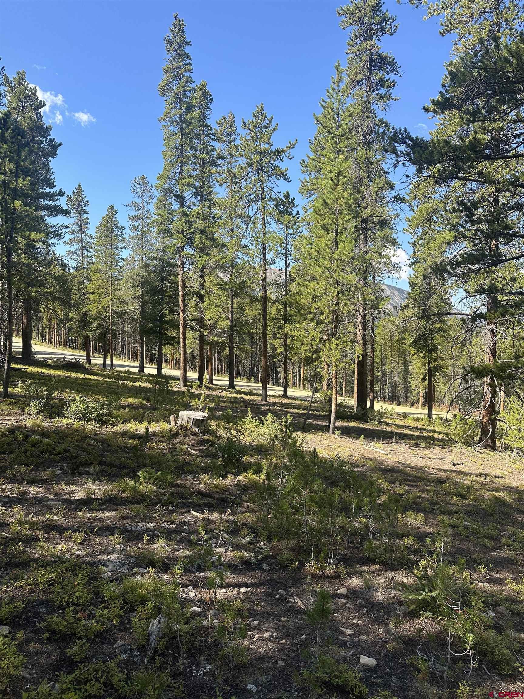 3305 Wildcat Trail Crested Butte, CO 81224 - Photo 8 of 22 a view of a park with lots of trees
