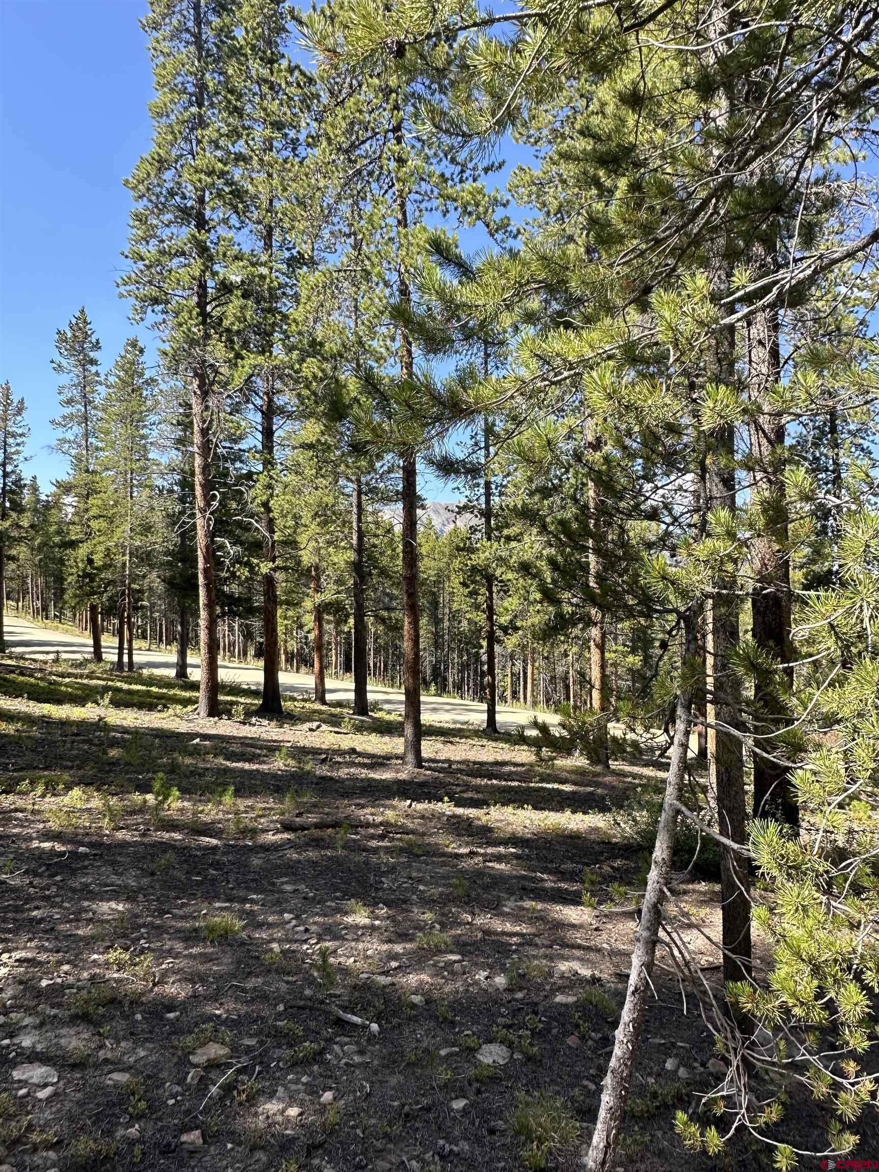 3305 Wildcat Trail Crested Butte, CO 81224 - Photo 9 of 22 a view of a yard in front of a house