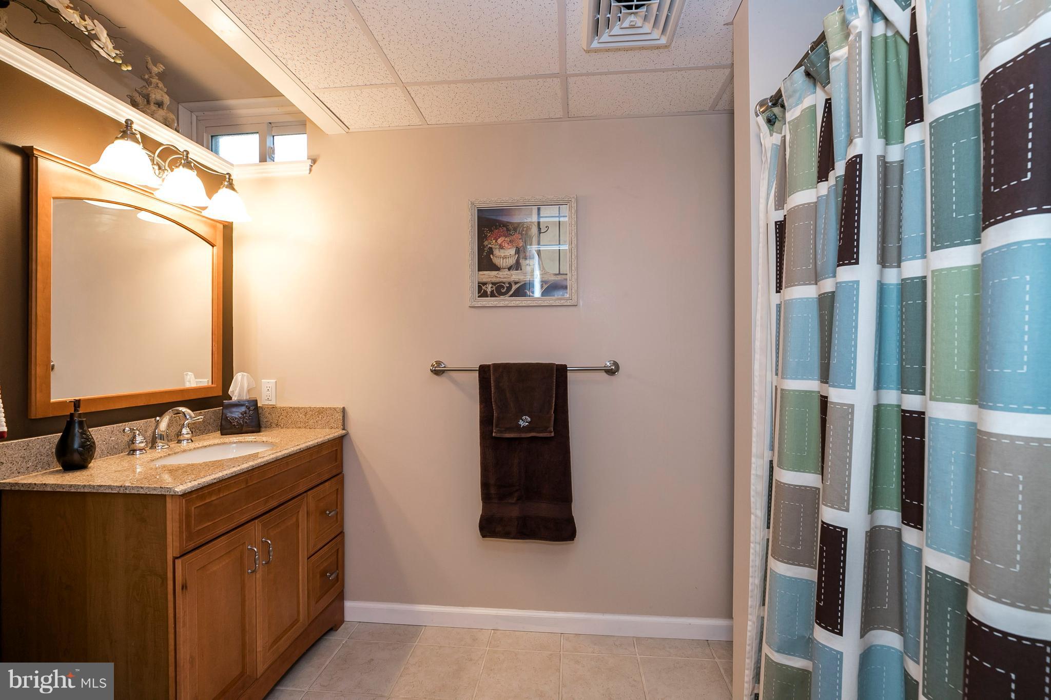 64 Paddock Circle Spring City, PA 19475 - Photo 41 of 48 Full Bath in Basement