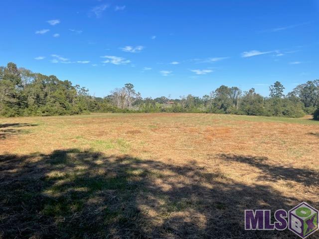 0 Boomerang Road Amite, LA 70422 - Photo 1 of 3 Gallery Image 1