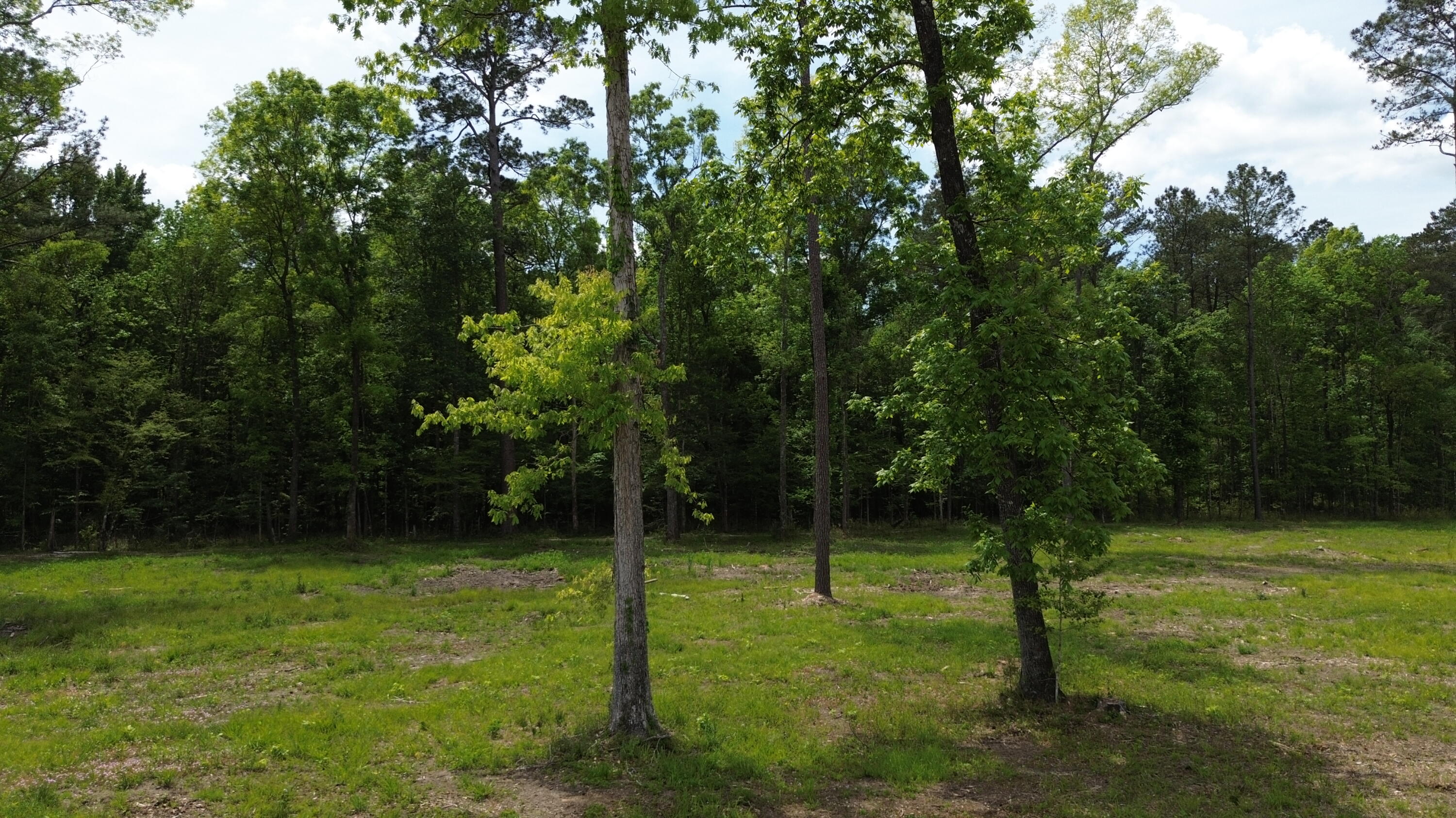 8 Highway 27 Fort Thomas, KY 41075 - Photo 13 of 20 DJI_0275