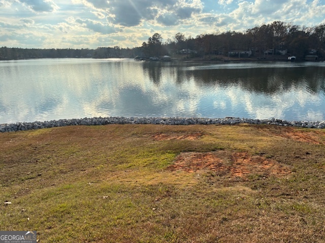 a view of a lake with houses in the background