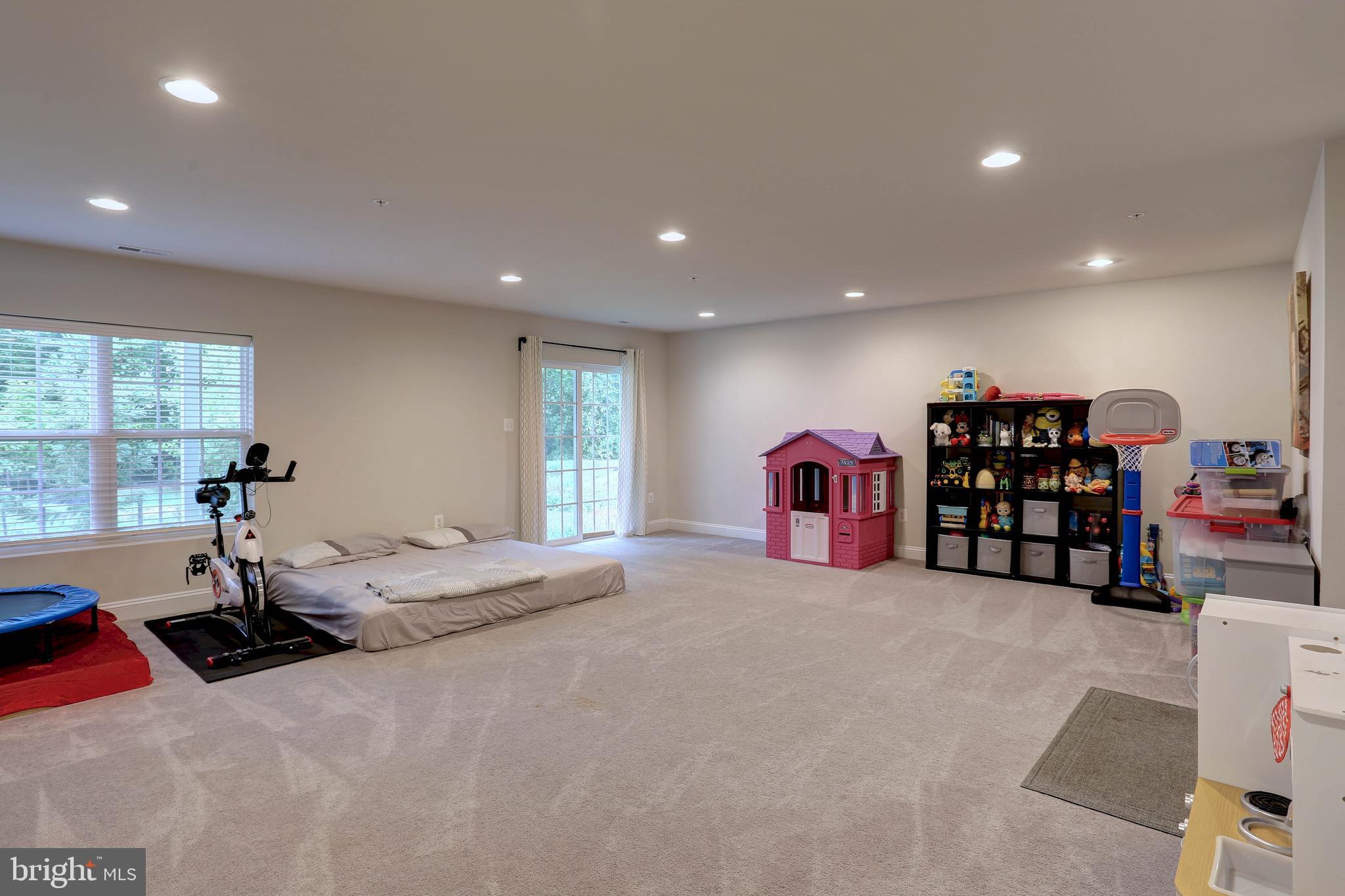 2609 Day Lily Road Gambrills, MD 21054 - Photo 41 of 53 Rec room with walk-out