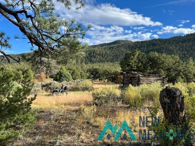1 Forest Rd100 Road Canones, NM 87516 - Photo 4 of 39 Gallery Image 4