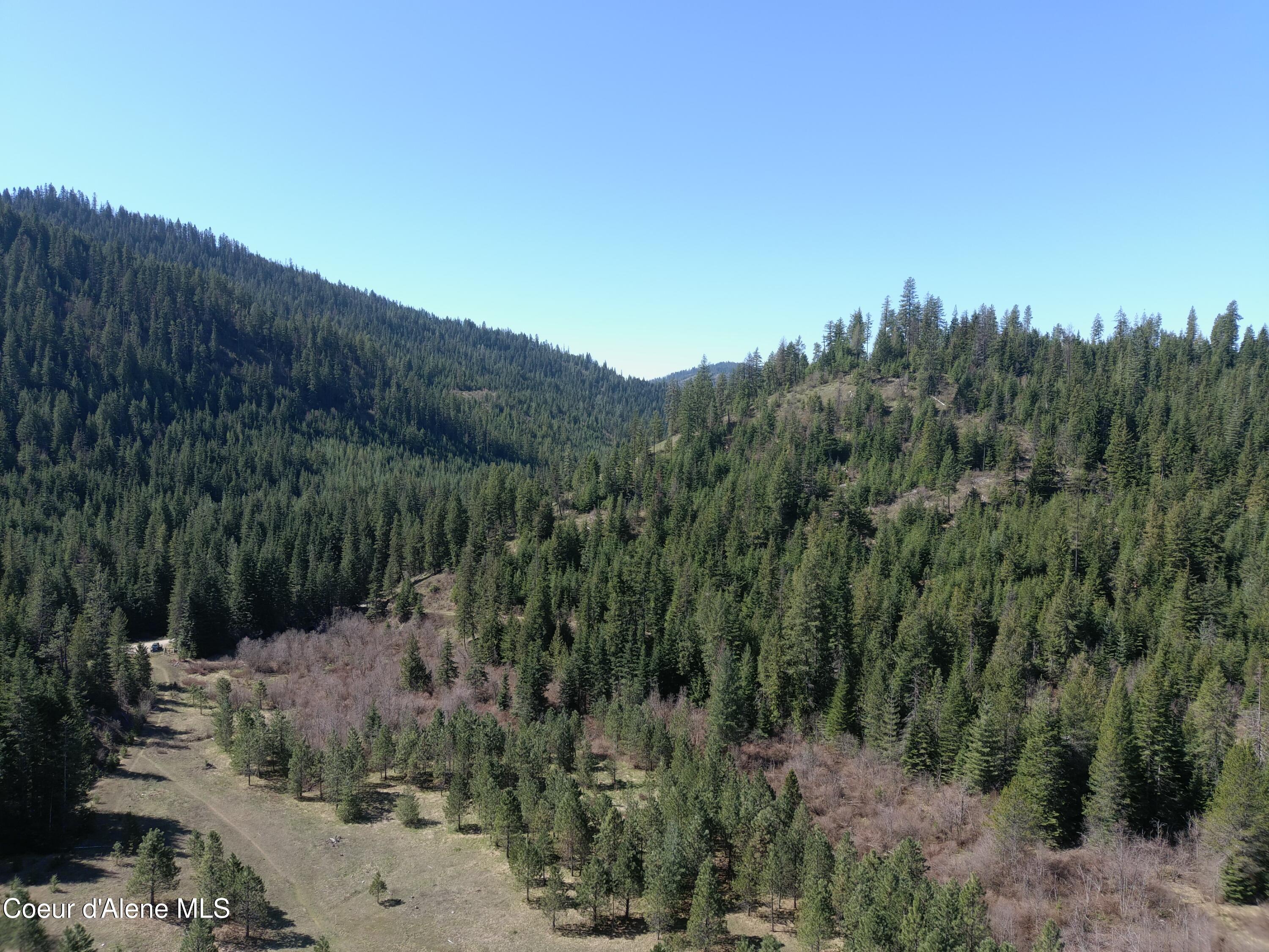 Carlin Creek Road, Unit 256 Harrison, ID 83833 - Photo 17 of 31 MAX_0013