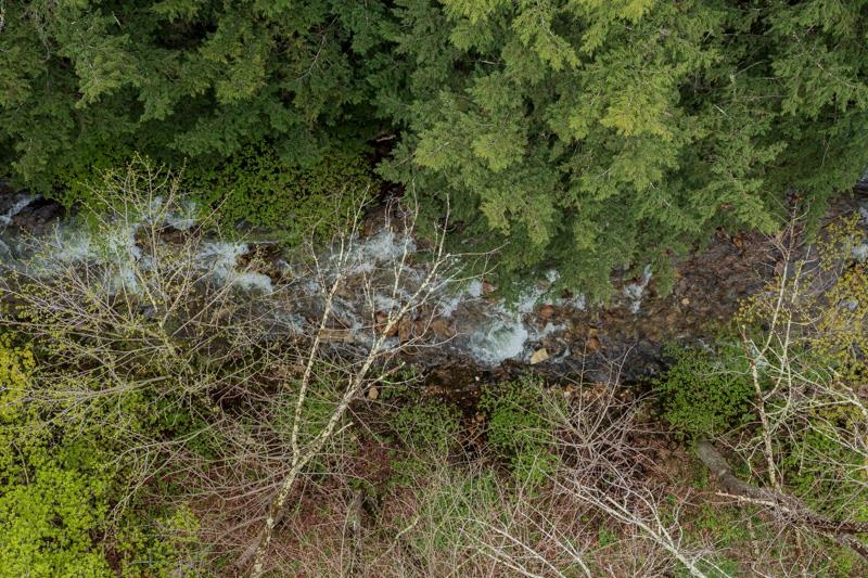 555 Brook Road Danby, VT 05739 - Photo 40 of 46