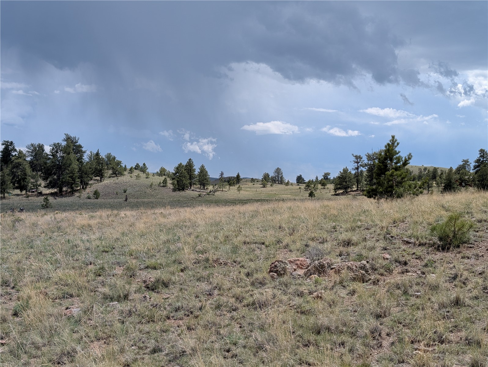 0 Black Beaver Road Hartsel, CO 80449 - Photo 6 of 28 Gallery Image 6