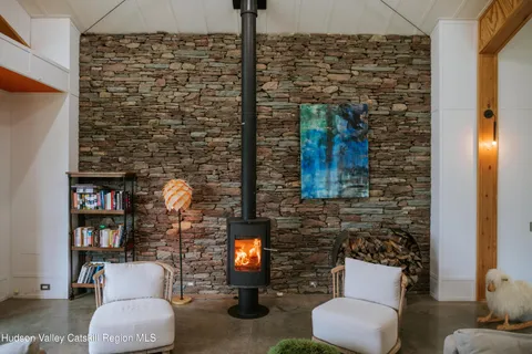 a living room with furniture a fireplace and a potted plant