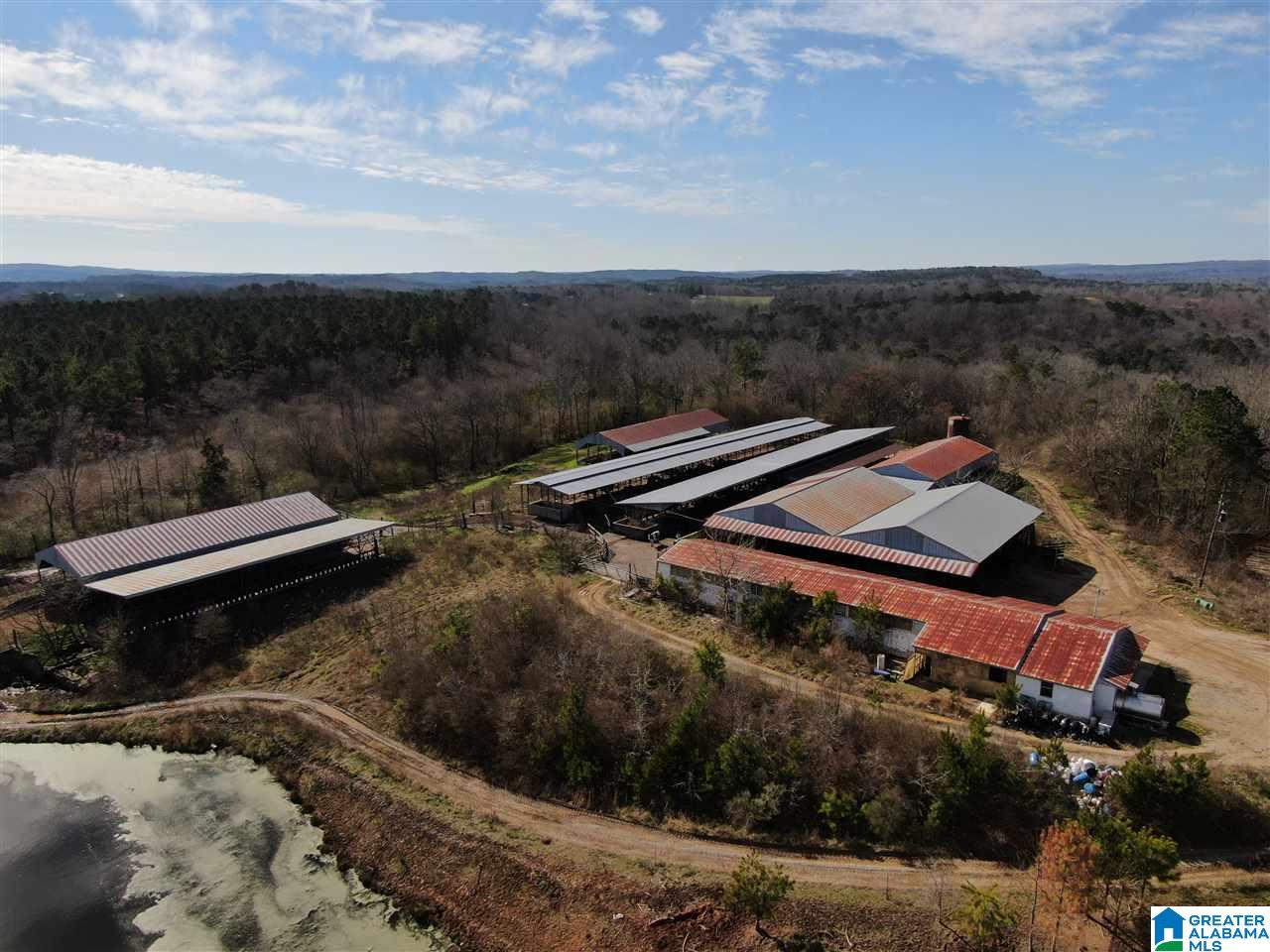 79 Highway 79 Cleveland, AL 35049 - Photo 13 of 36