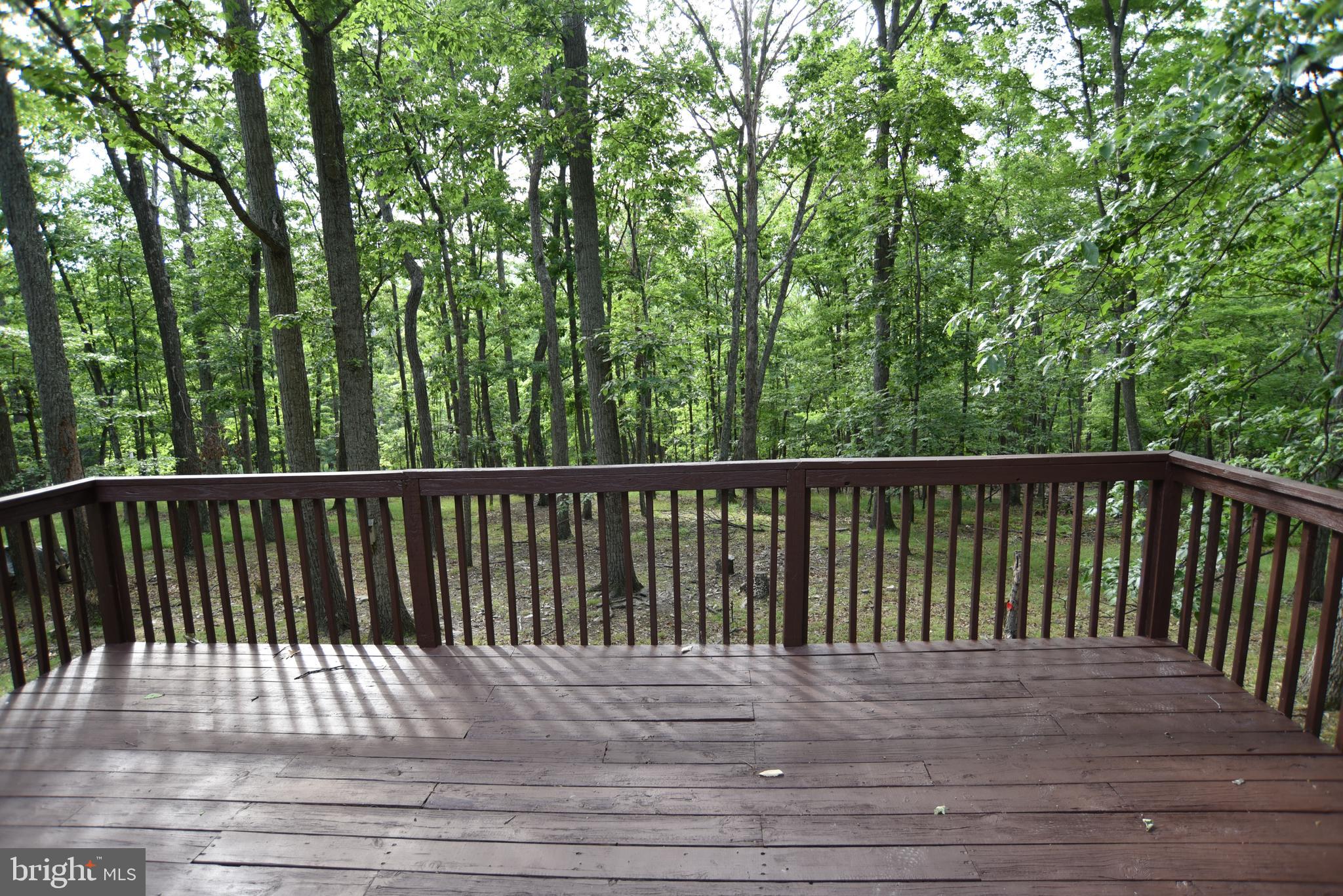 586 Cardinal View Road Paw Paw, WV 25434 - Photo 20 of 25
