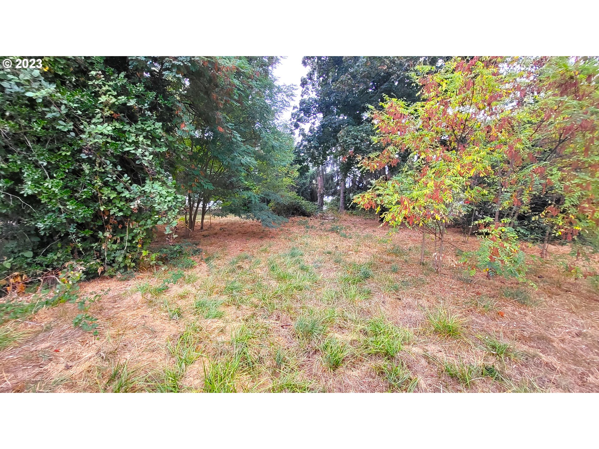 272 South 7th Street Creswell, OR 97426 - Photo 11 of 11