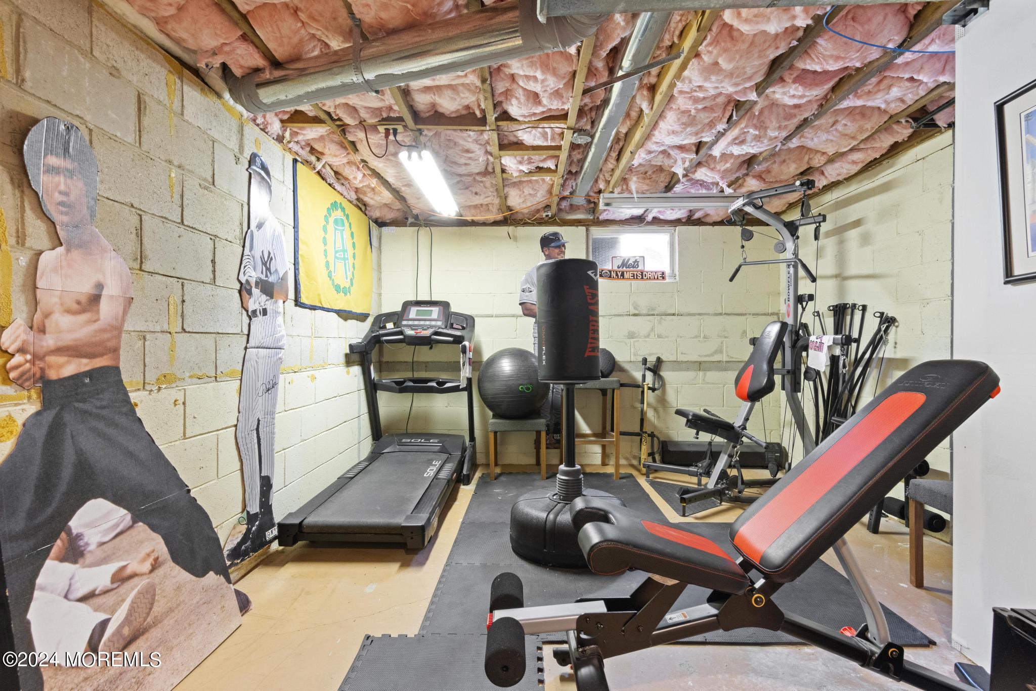 343 Easy Street Howell, NJ 07731 - Photo 42 of 53 a view of a room with gym equipment