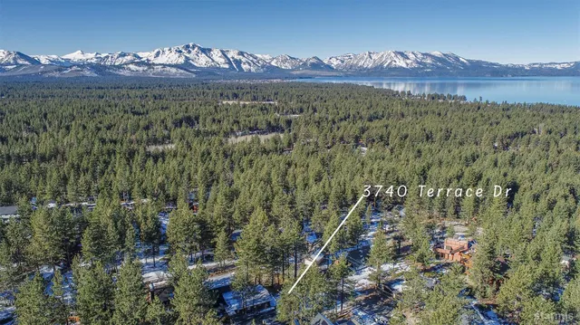 a view of a city with a lush green forest