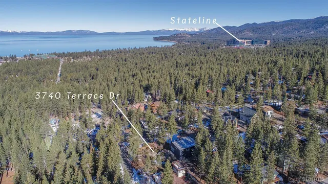 a view of a city with lush green forest