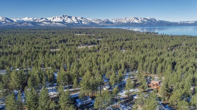 a view of a city with lush green forest