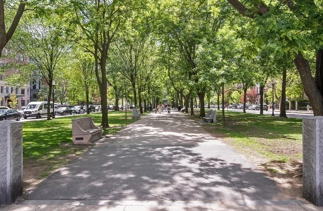 a view of a park with tree s