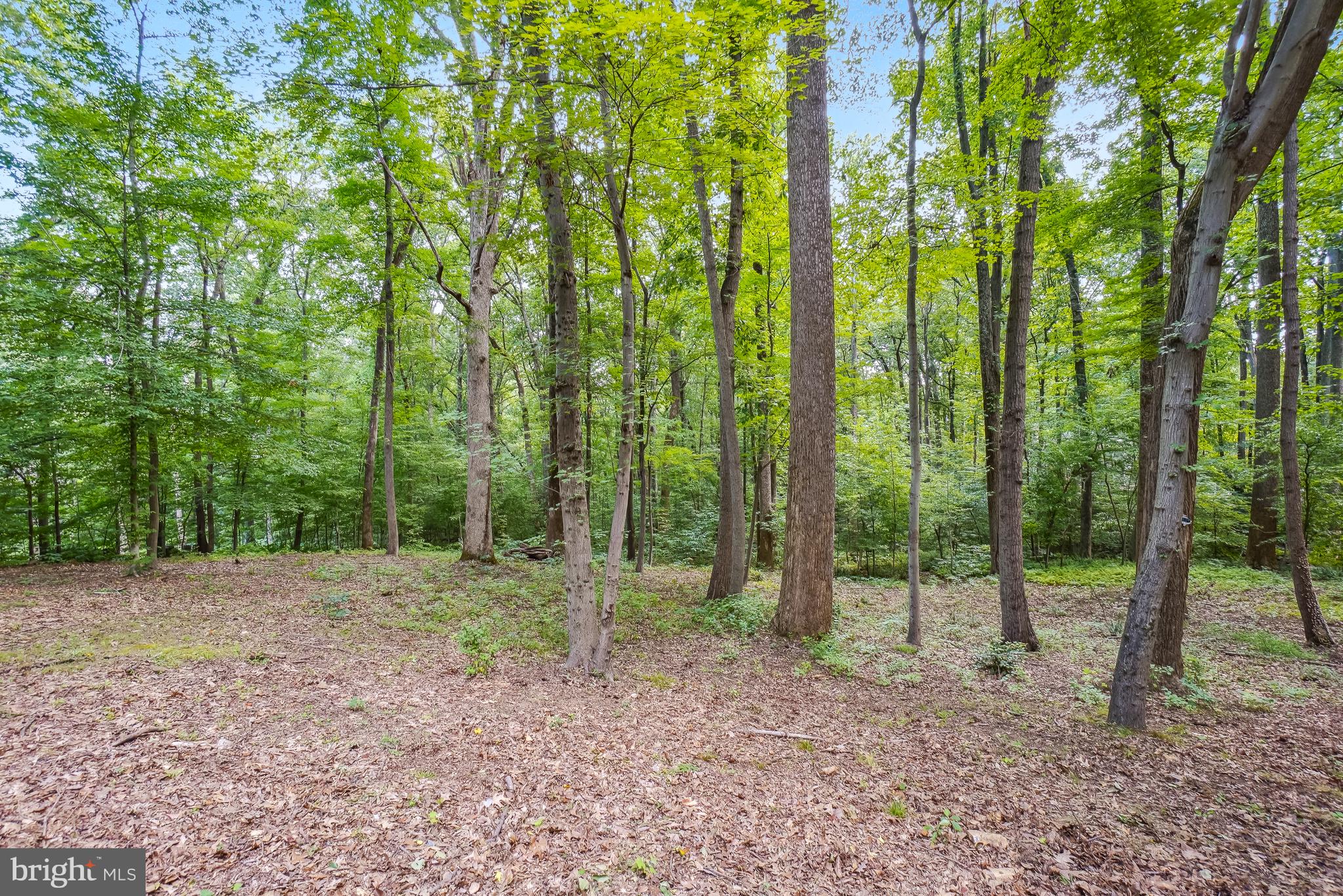 3486 Godspeed Road Davidsonville, MD 21035 - Photo 39 of 48