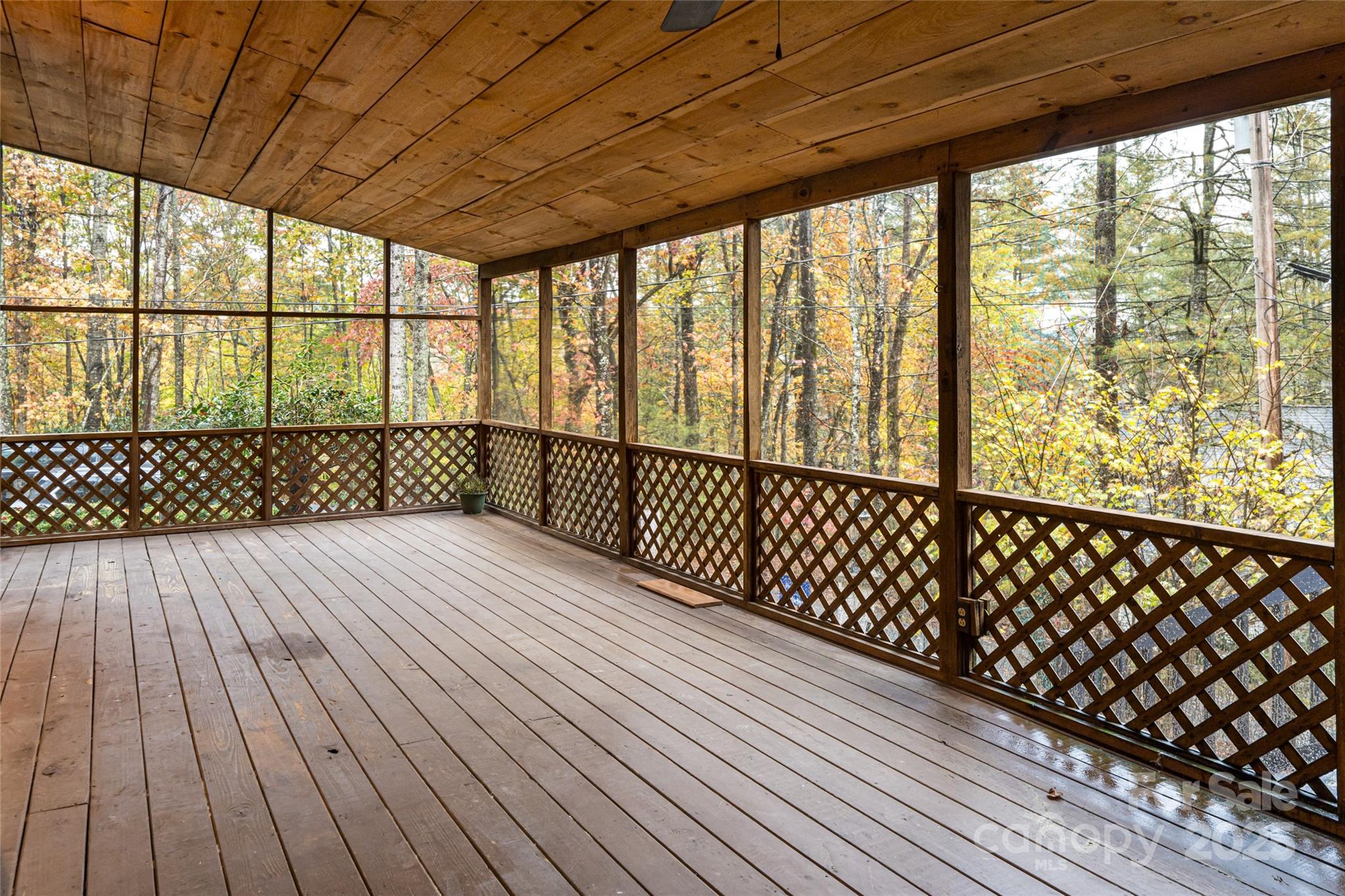 49 Mayapple Lane Brevard, NC 28712 - Photo 20 of 48