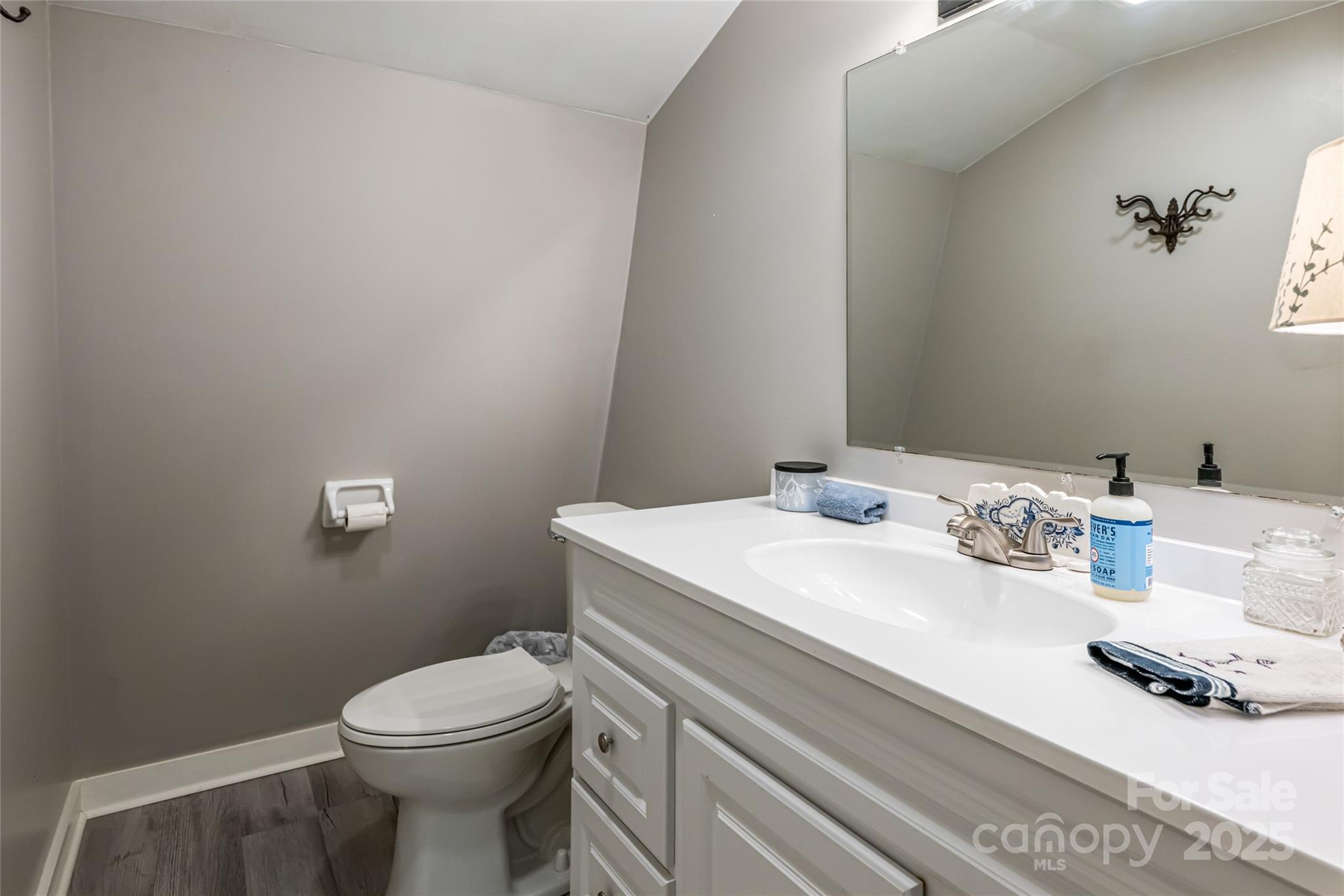 49 Mayapple Lane Brevard, NC 28712 - Photo 39 of 48