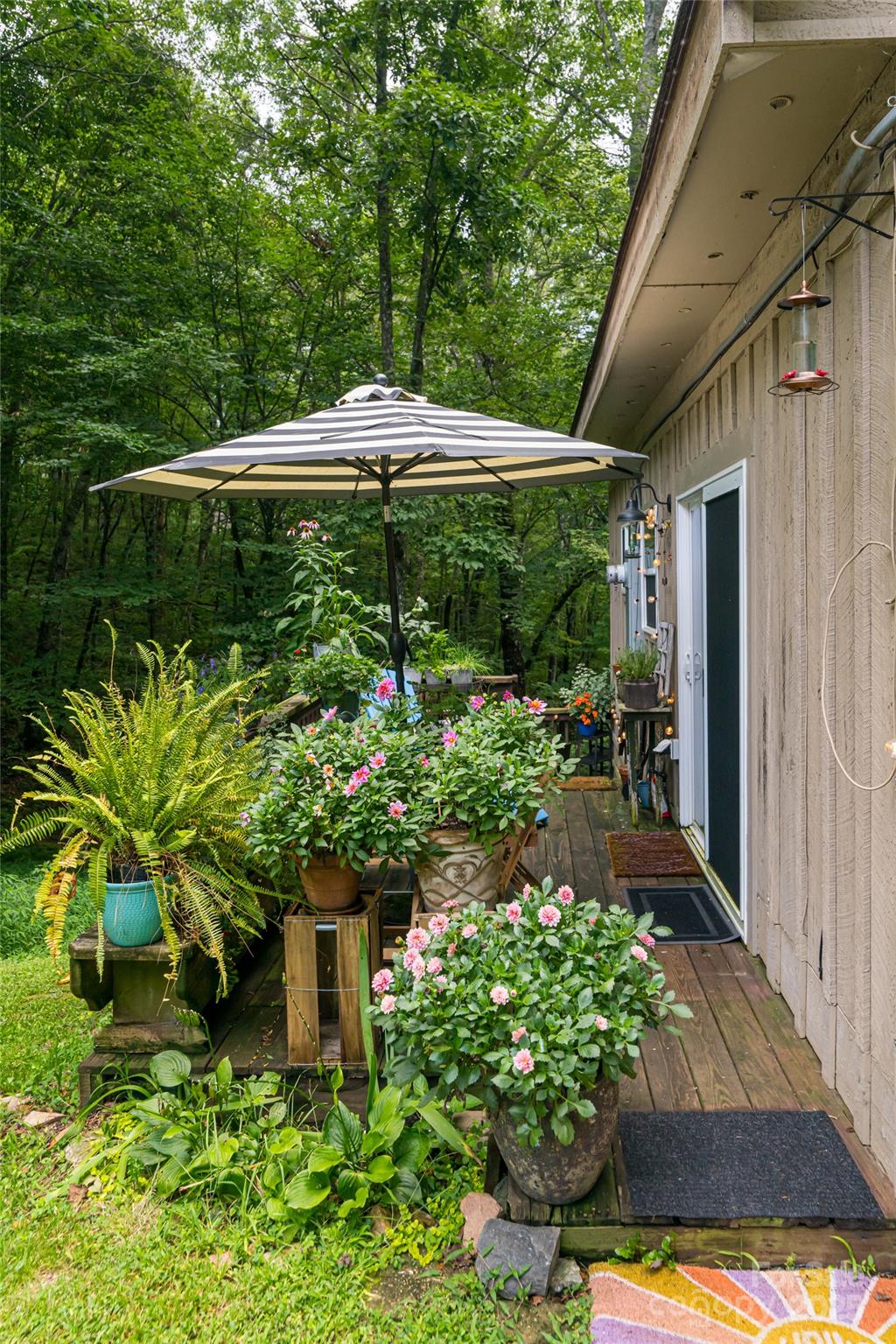 49 Mayapple Lane Brevard, NC 28712 - Photo 41 of 48