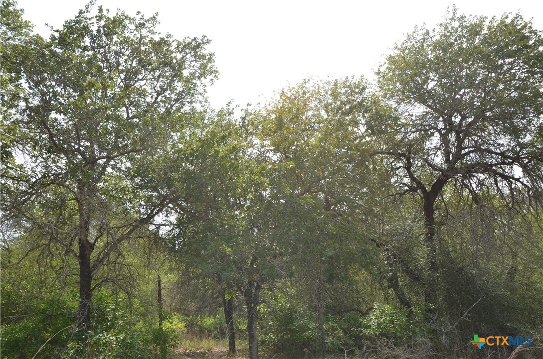 Lot 66 Powder Ridge Luling, TX 78648 - Photo 3 of 14