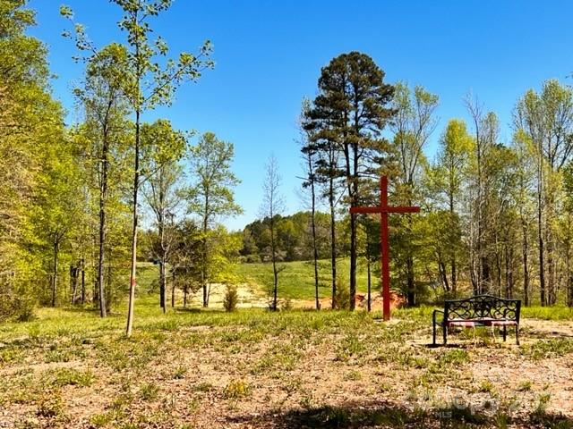 179 Duke Whittaker Road Mocksville, NC 27028 - Photo 41 of 48 Gallery Image 41