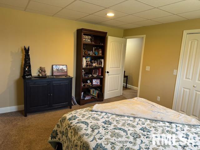 186 Phillips Road Carbondale, IL 62902 - Photo 54 of 56 Gallery Image 54