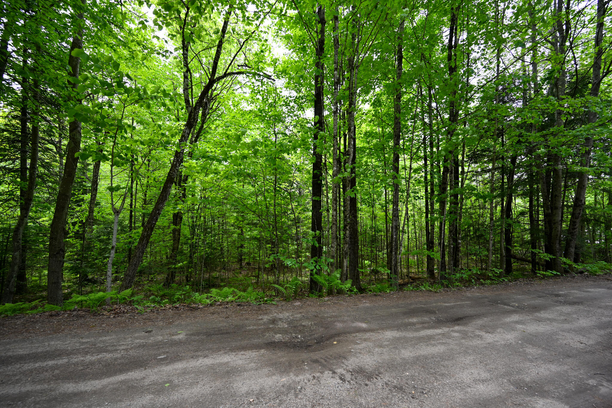 Lot 16 Old Towle Road Dixfield, ME 04224 - Photo 7 of 14 View from road