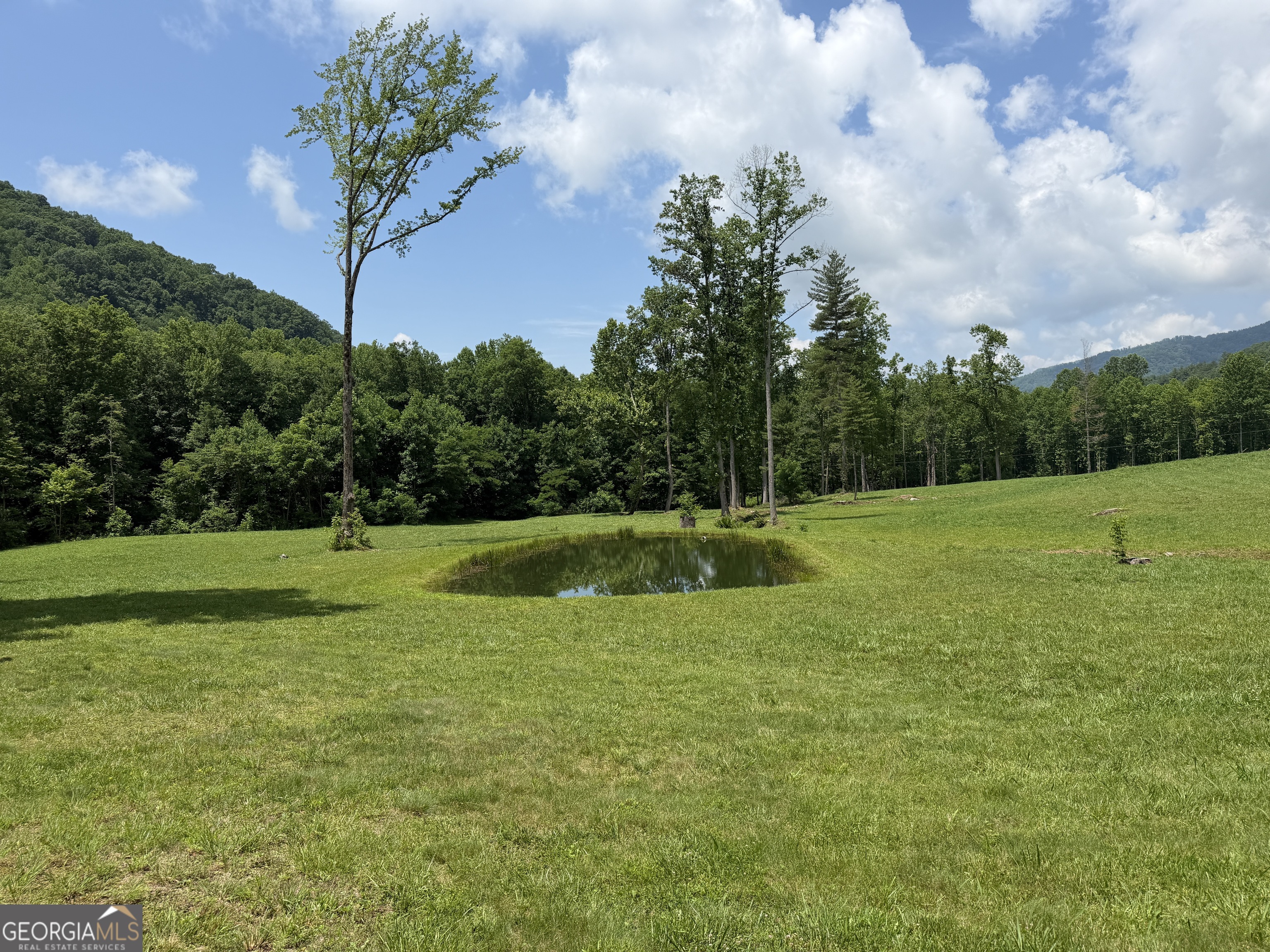 1449 Muskrat Creek Road Hayesville, NC 28904 - Photo 45 of 95