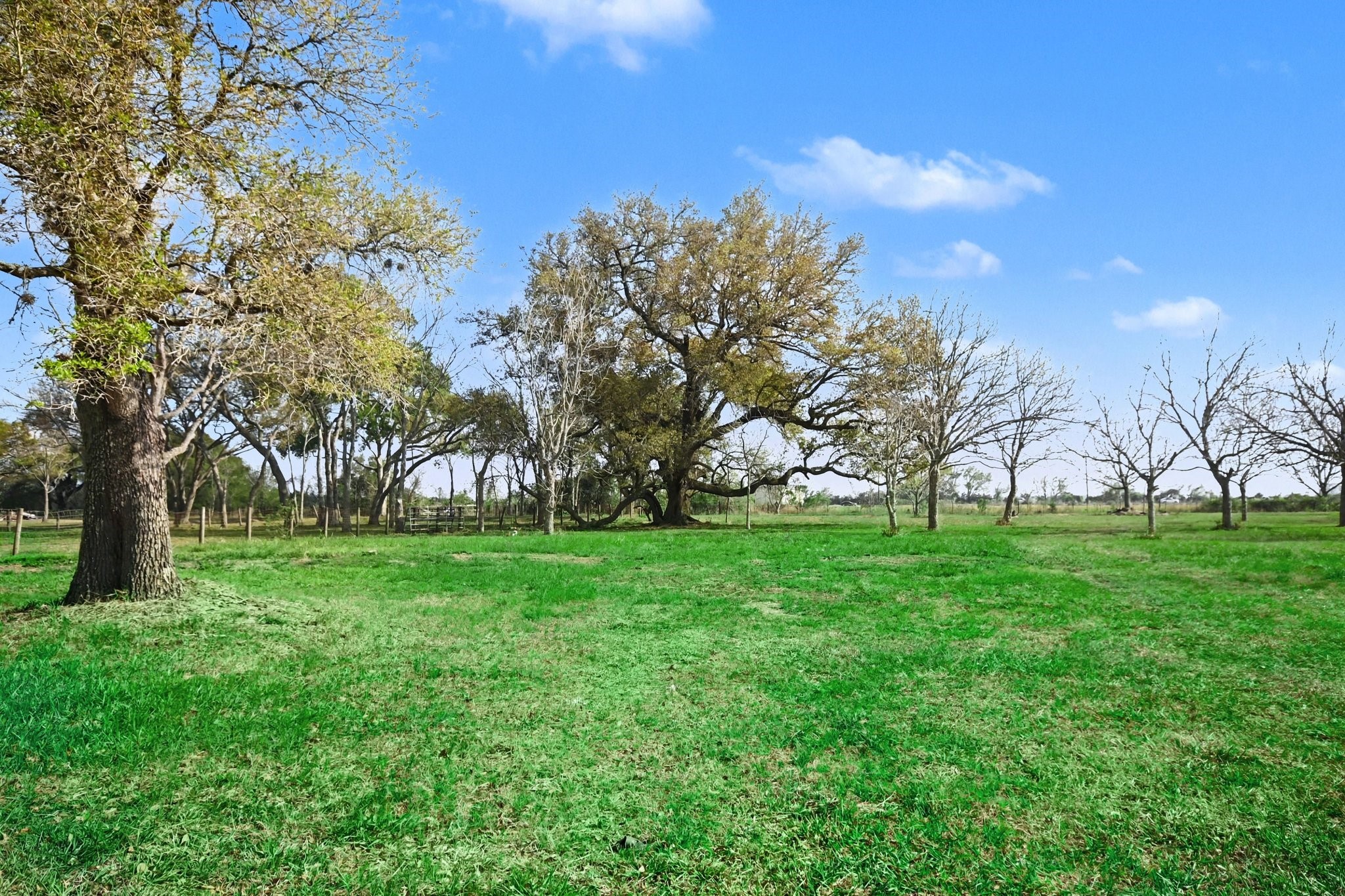 21503 Pecan Bend Road Damon, TX 77430 - Photo 41 of 45 a view of a grassy field with trees
