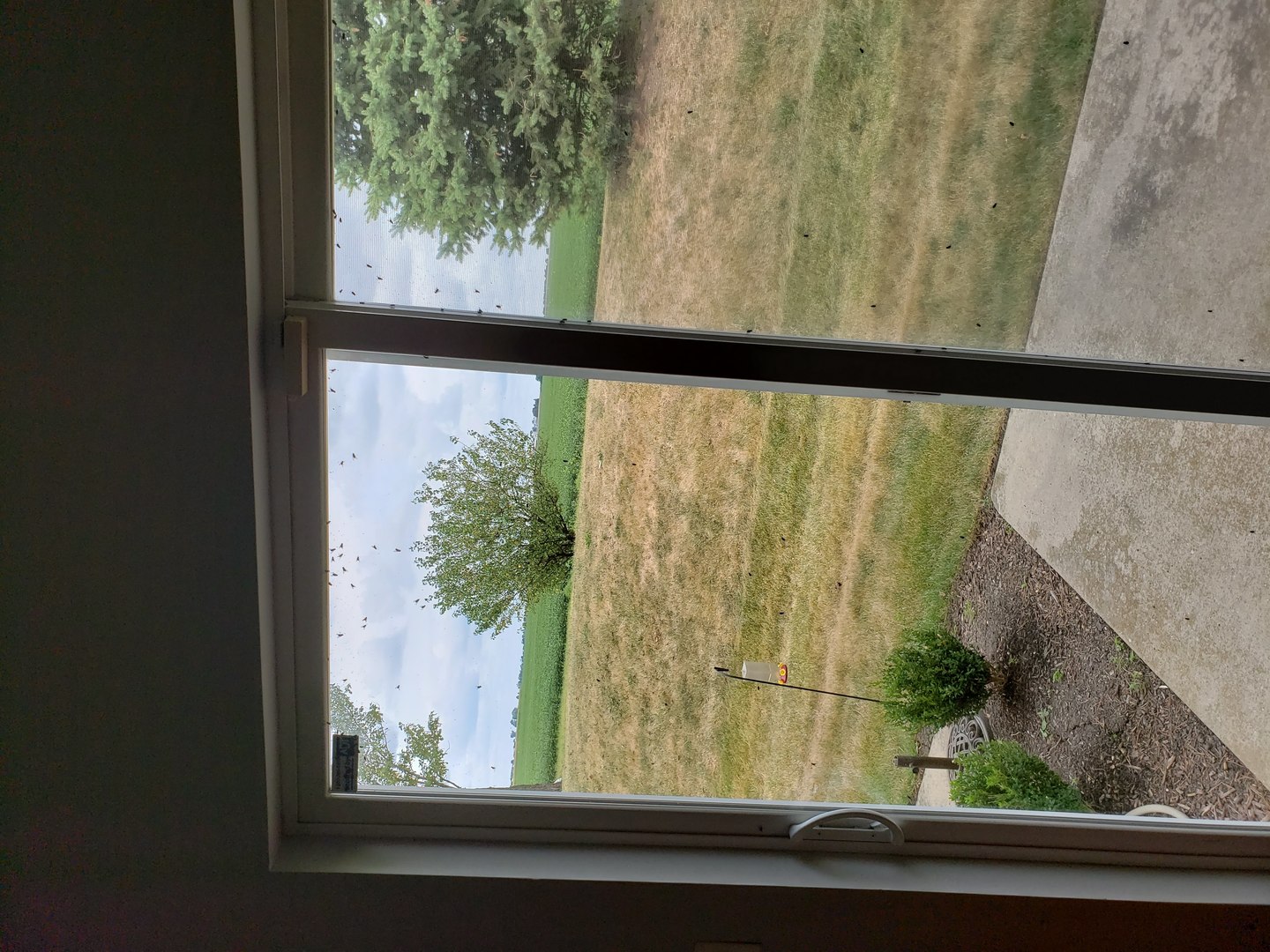 3049 Creekside Drive Plainfield, IL 60586 - Photo 10 of 21