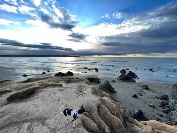 a view of an ocean beach