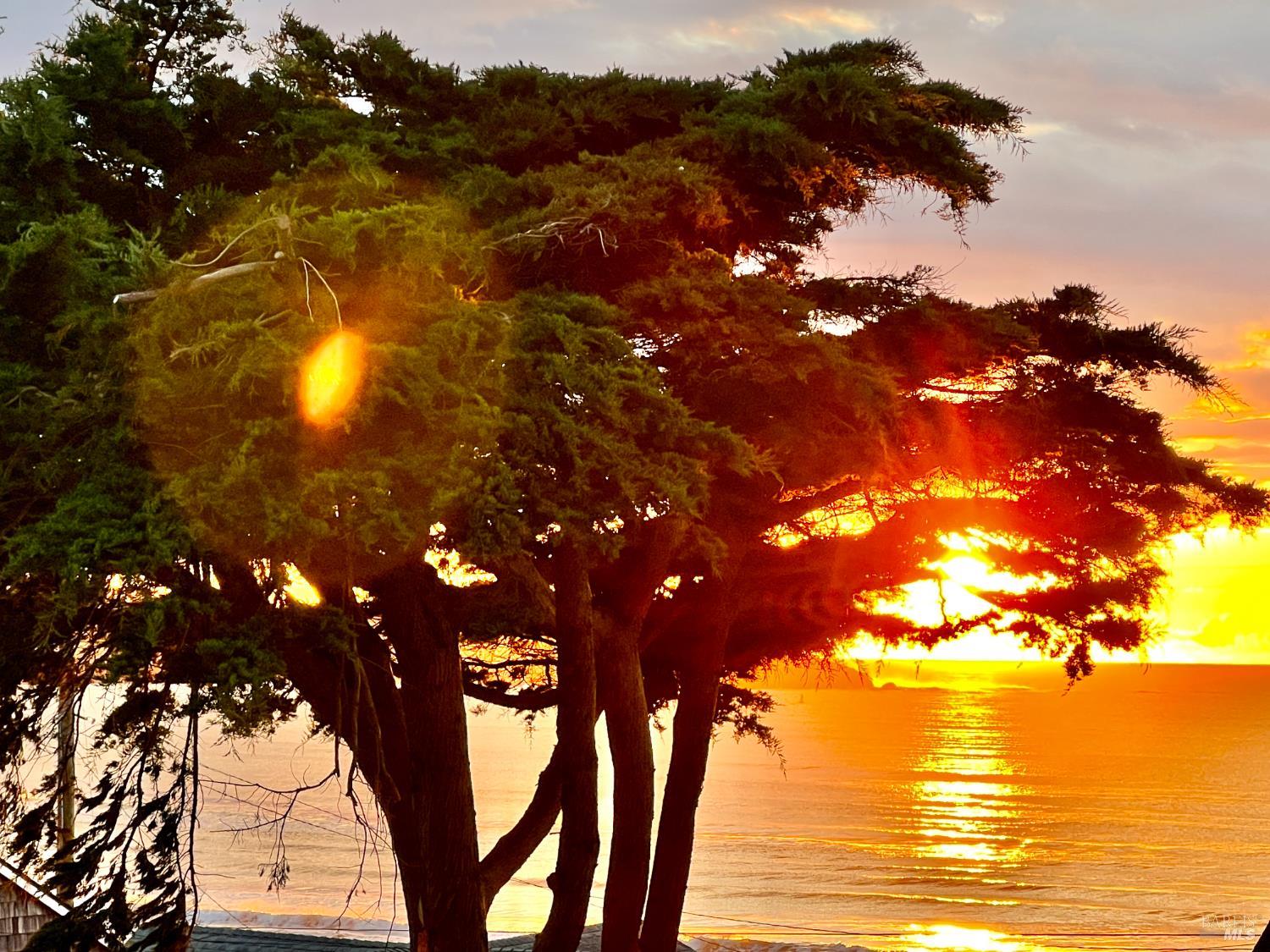 75 Ocean View Avenue Dillon Beach, CA 94929 - Photo 23 of 23