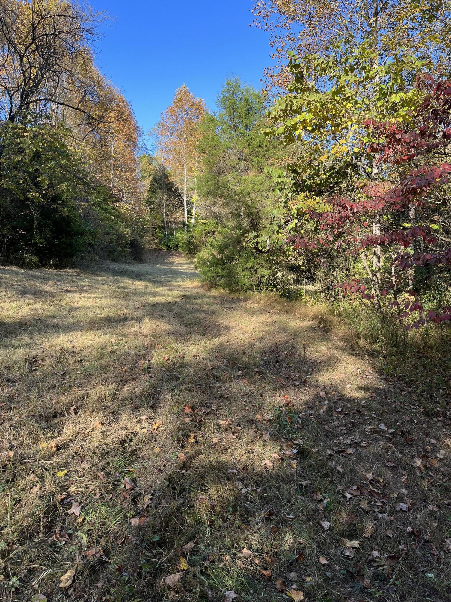 885 Log Lick Road Winchester, KY 40391 - Photo 16 of 39 IMG_0292