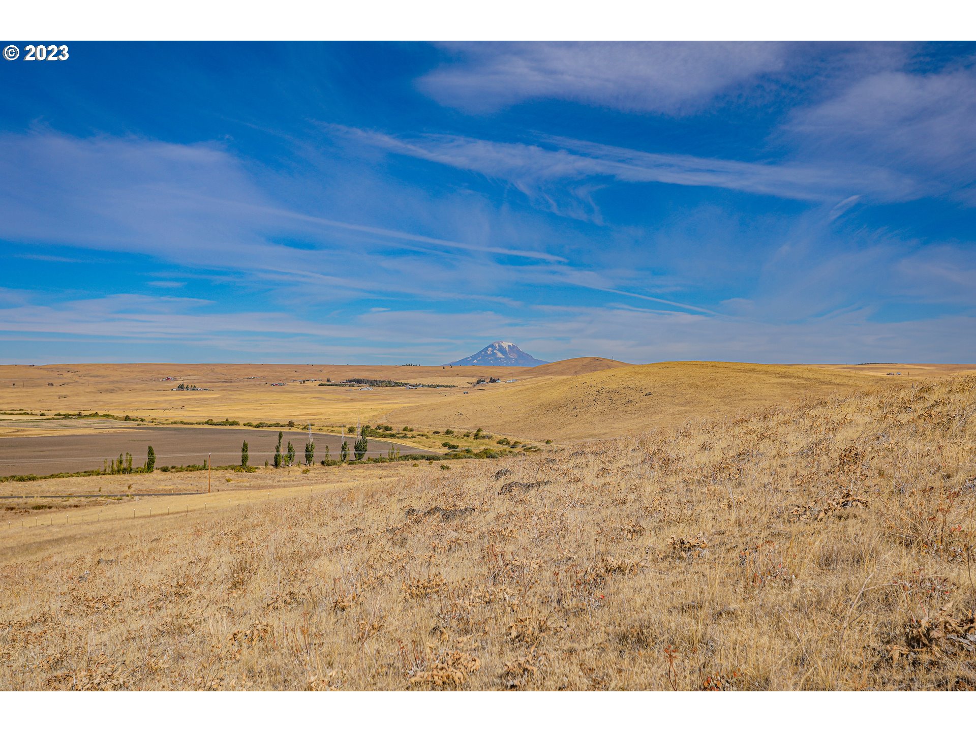 1602 Centerville Highway Centerville, WA 98613 - Photo 3 of 17