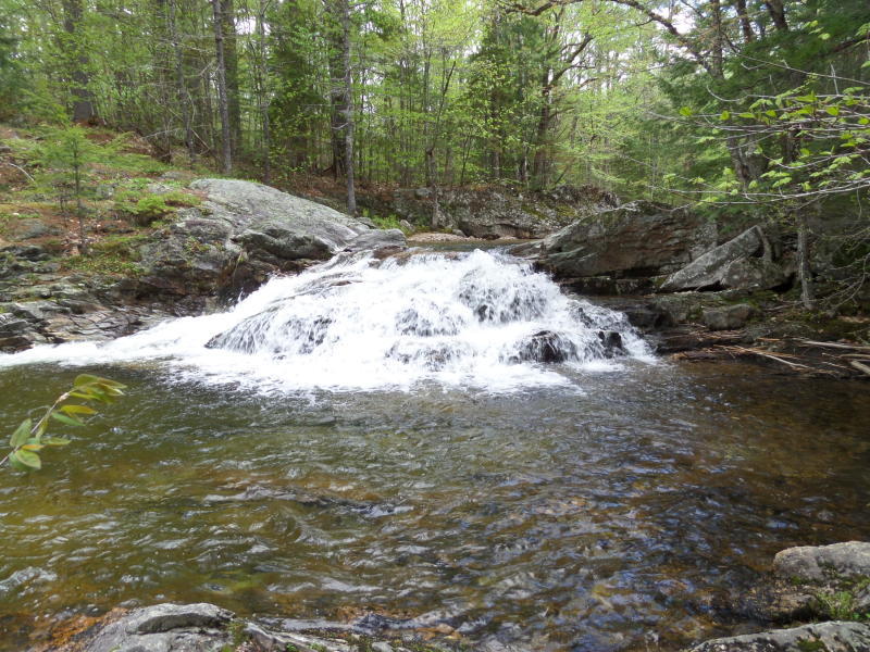271 Hut Road Stoneham, ME 04231 - Photo 62 of 67 20190612163925103760000000-o
