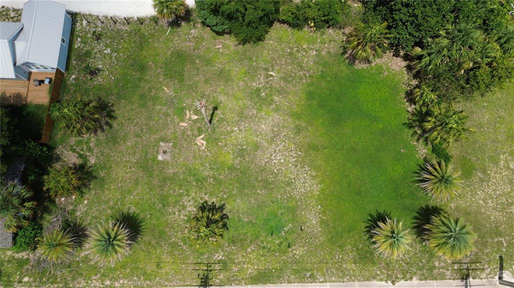 403 South Ridgewood Avenue Edgewater, FL 32132 - Photo 6 of 8 a view of a garden