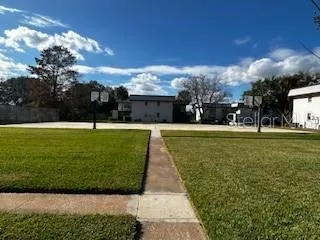 a view of a park with large trees