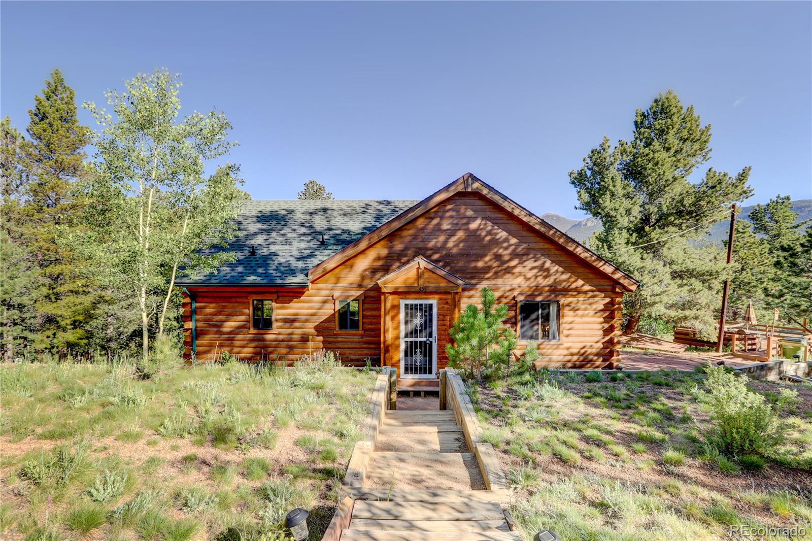 45 Renaud Road Bailey, CO 80421 - Photo 6 of 37 Gallery Image 6