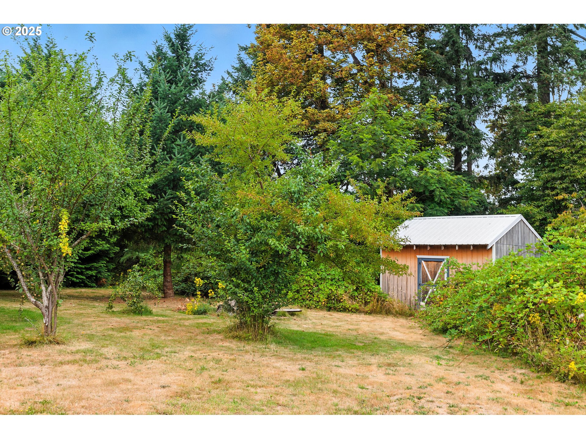 20160 Southeast Foster Road Damascus, OR 97089 - Photo 10 of 48 a view of yard with green space