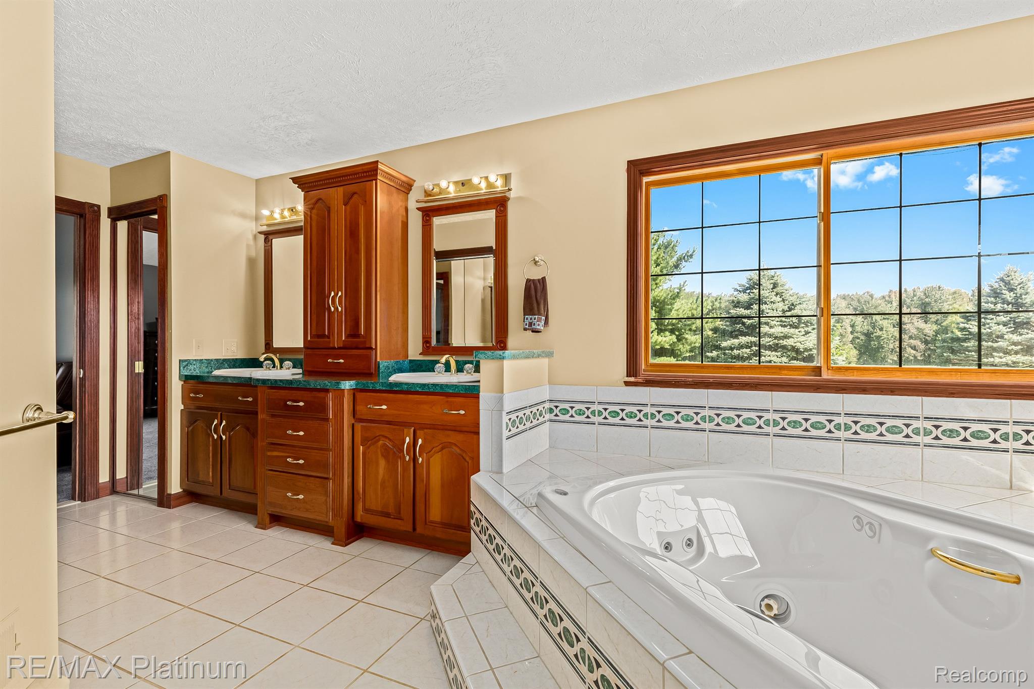 11733 North Fleming Road Fowlerville, MI 48836 - Photo 22 of 51 Double Vanity Primary Bathroom