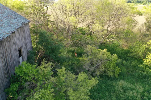 $224,500 | 17063 County Road 10 Northeast, St. Charles, MN 55972