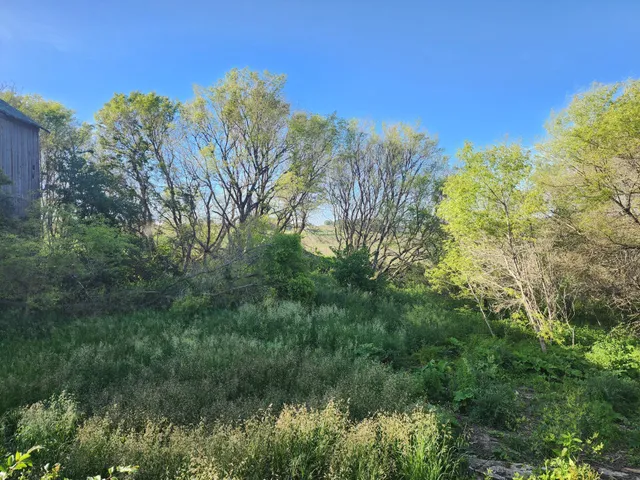 $224,500 | 17063 County Road 10 Northeast, St. Charles, MN 55972