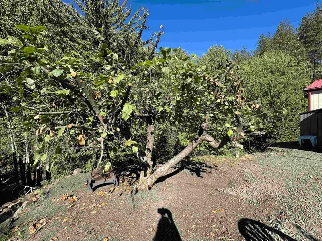 $95,000 | 201 Chief Looking Glass Lane, Kamiah, ID 83536