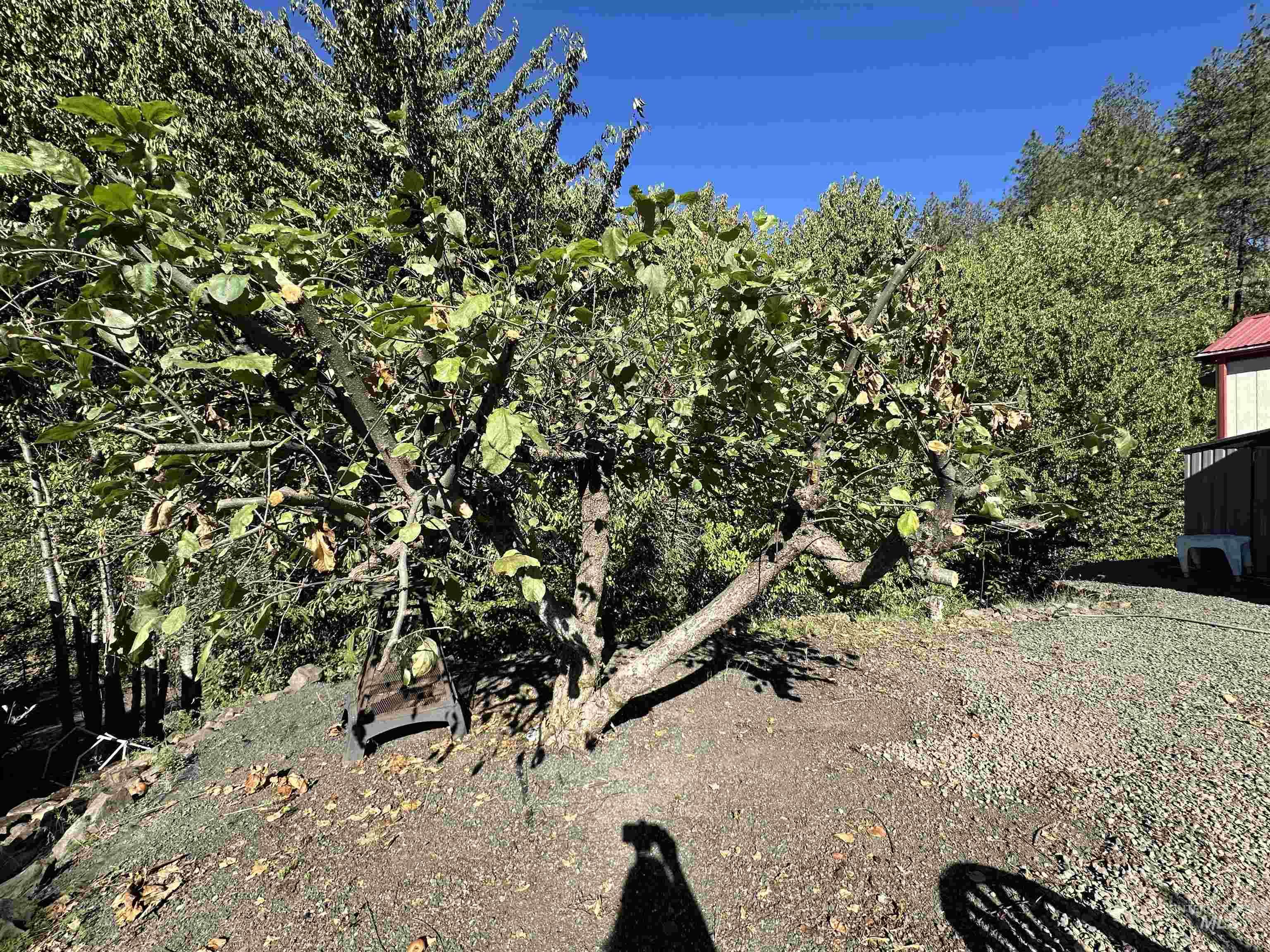 201 Chief Looking Glass Lane Kamiah, ID 83536 - Photo 17 of 25