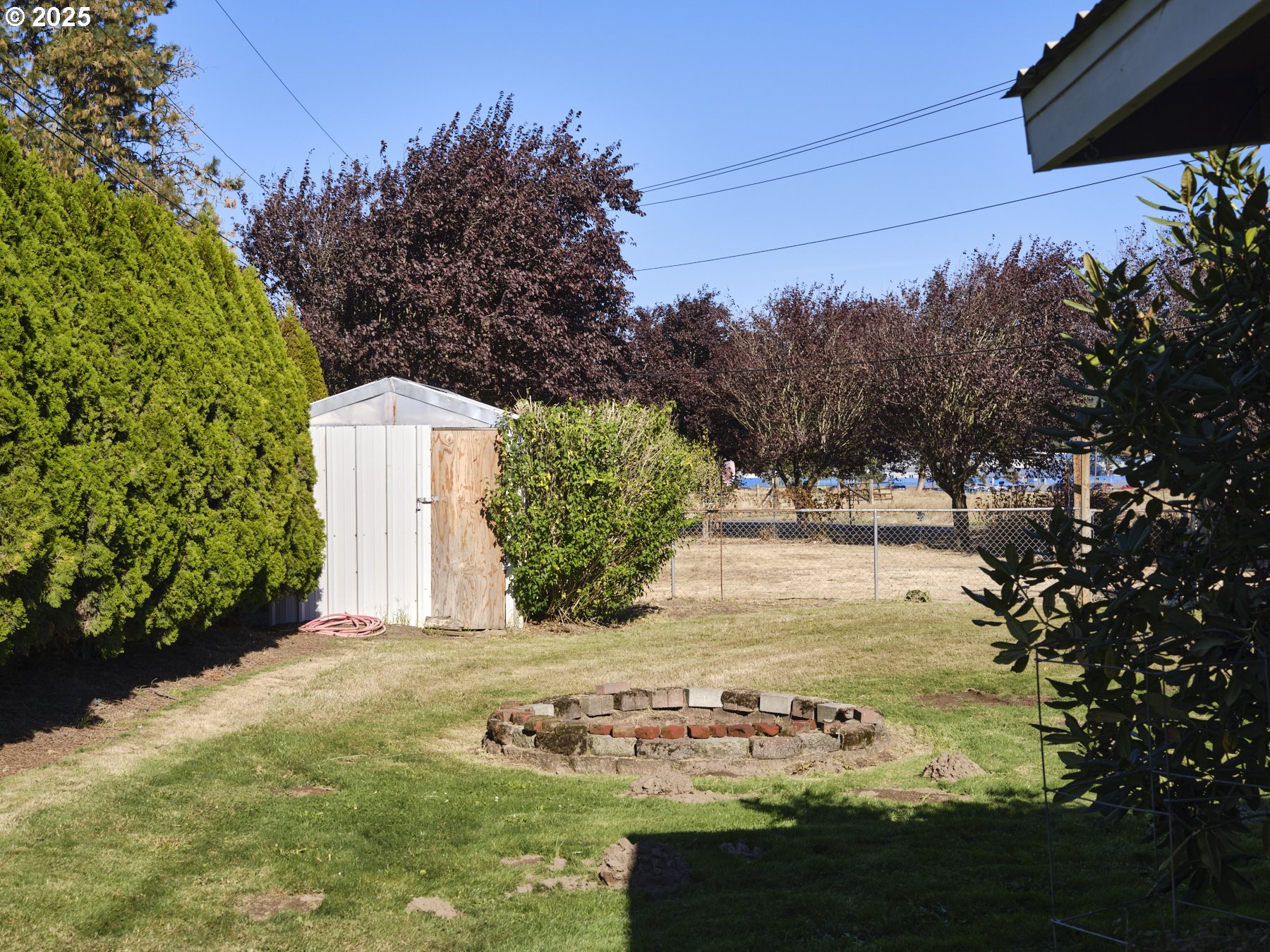 115 Whalen Loop Road Woodland, WA 98674 - Photo 36 of 40 a view of yard with tree in it